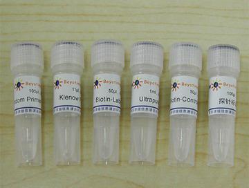 生物素随机引物DNA标记试剂盒